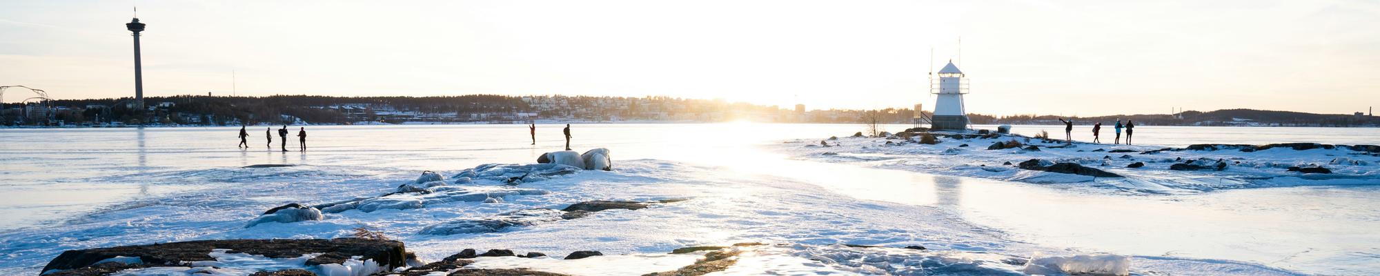 A winter landscape