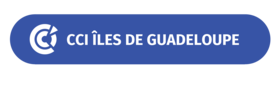 A visual sazing CCI Iles de Guadeloupe