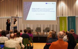 First regional workshop in Strasbourg
