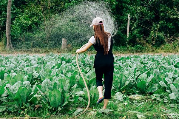 Woman watering crops